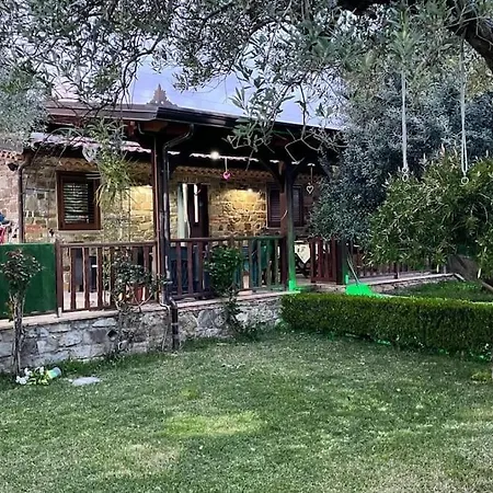 Rustico Crinale Casalvelino Holiday home
